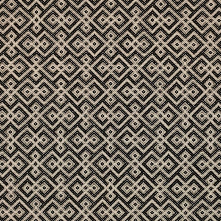 Tucumcari Onyx by RM CoCo Fabric
