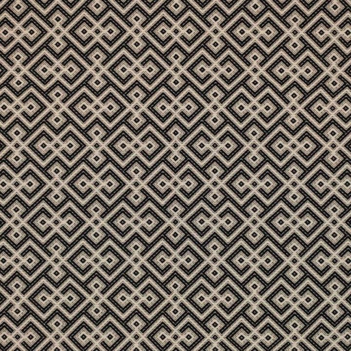 Tucumcari Onyx by RM CoCo Fabric