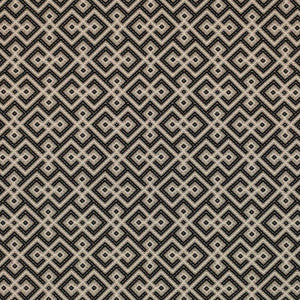 Tucumcari Onyx by RM CoCo Fabric
