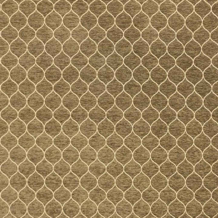 Dolby Mink by RM CoCo Fabric