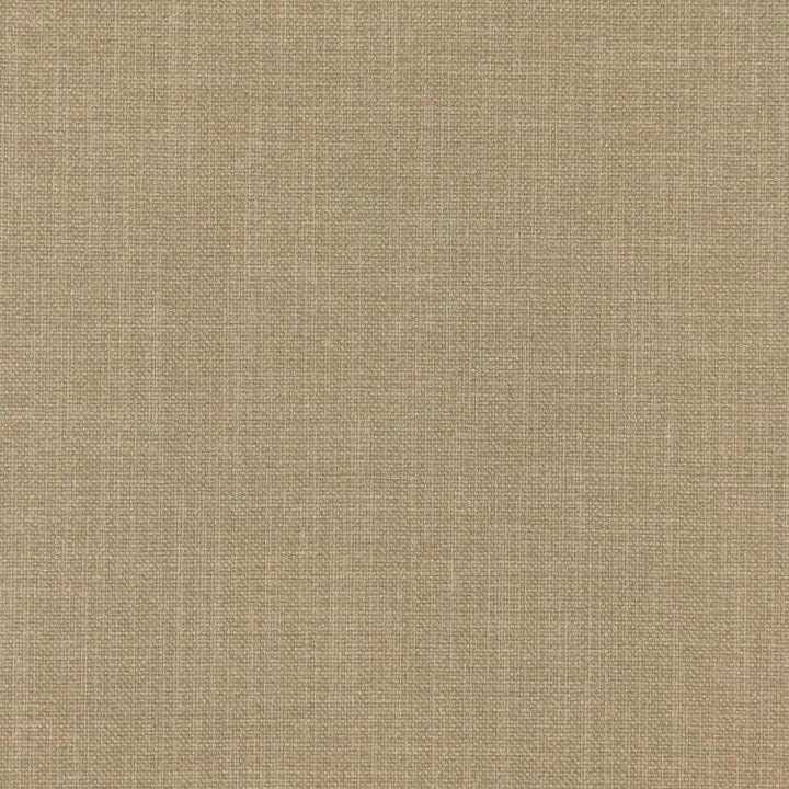 Smart Move Barley by RM CoCo Fabric