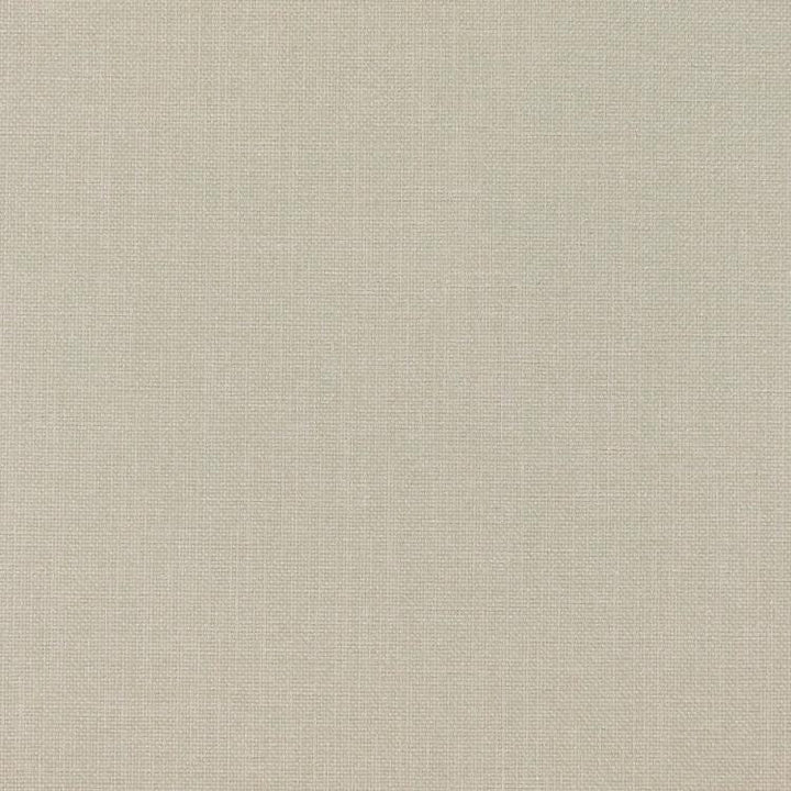 Smart Move Dove by RM CoCo Fabric