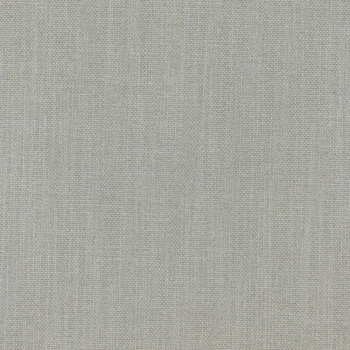 Smart Move Silver by RM CoCo Fabric