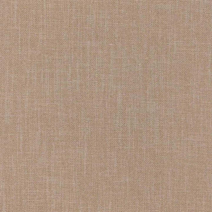 Smart Move Latte by RM CoCo Fabric