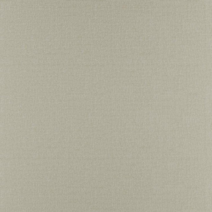 Prelude Putty by RM CoCo Fabric