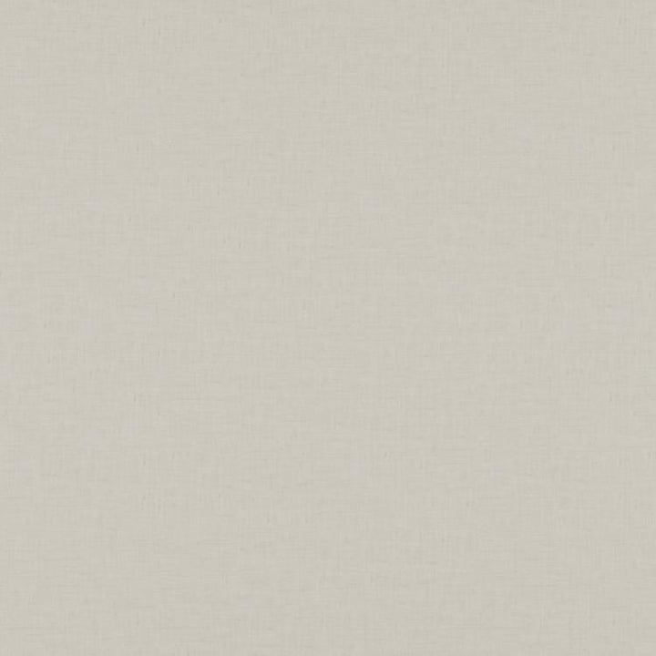 Gossamer Winter White by RM CoCo Fabric