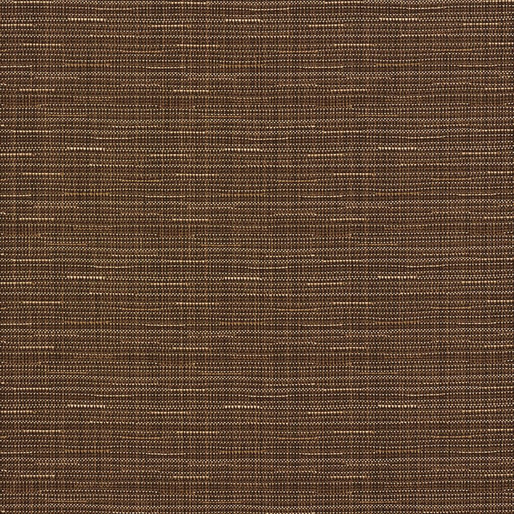 1381 Nutmeg Tweed by Charlotte Fabric Urban Gardens 100% Woven Polyester Asia Exceeds 48,000 Wyzenbeek Rubs (Heavy Duty) No Repeat 54 Inches - Fabric Carolina -