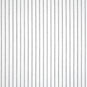 14050-0001 Scale Cloud by Sunbrella Fabric