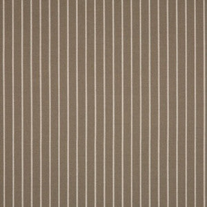 14050-0002 Scale Taupe by Sunbrella Fabric