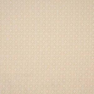 1411 Champagne by Charlotte Fabric
