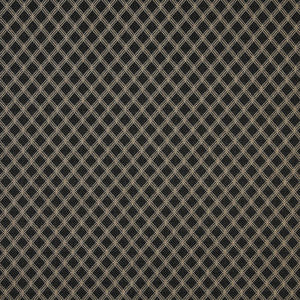 1412 Onyx by Charlotte Fabric
