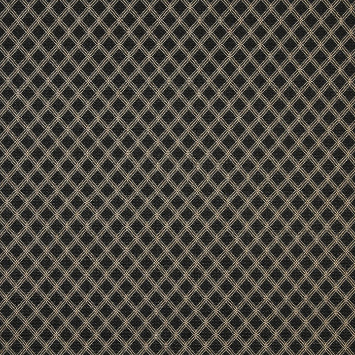 1412 Onyx by Charlotte Fabric Uptown Jacquards II 56% Acrylic, 44% Polyester Made In USA Exceeds 70,000 Wyzenbeek Rubs (Heavy Duty) Horizontal: 1.25" x Vertical: 1.25" 54 Inches - Fabric Carolina -