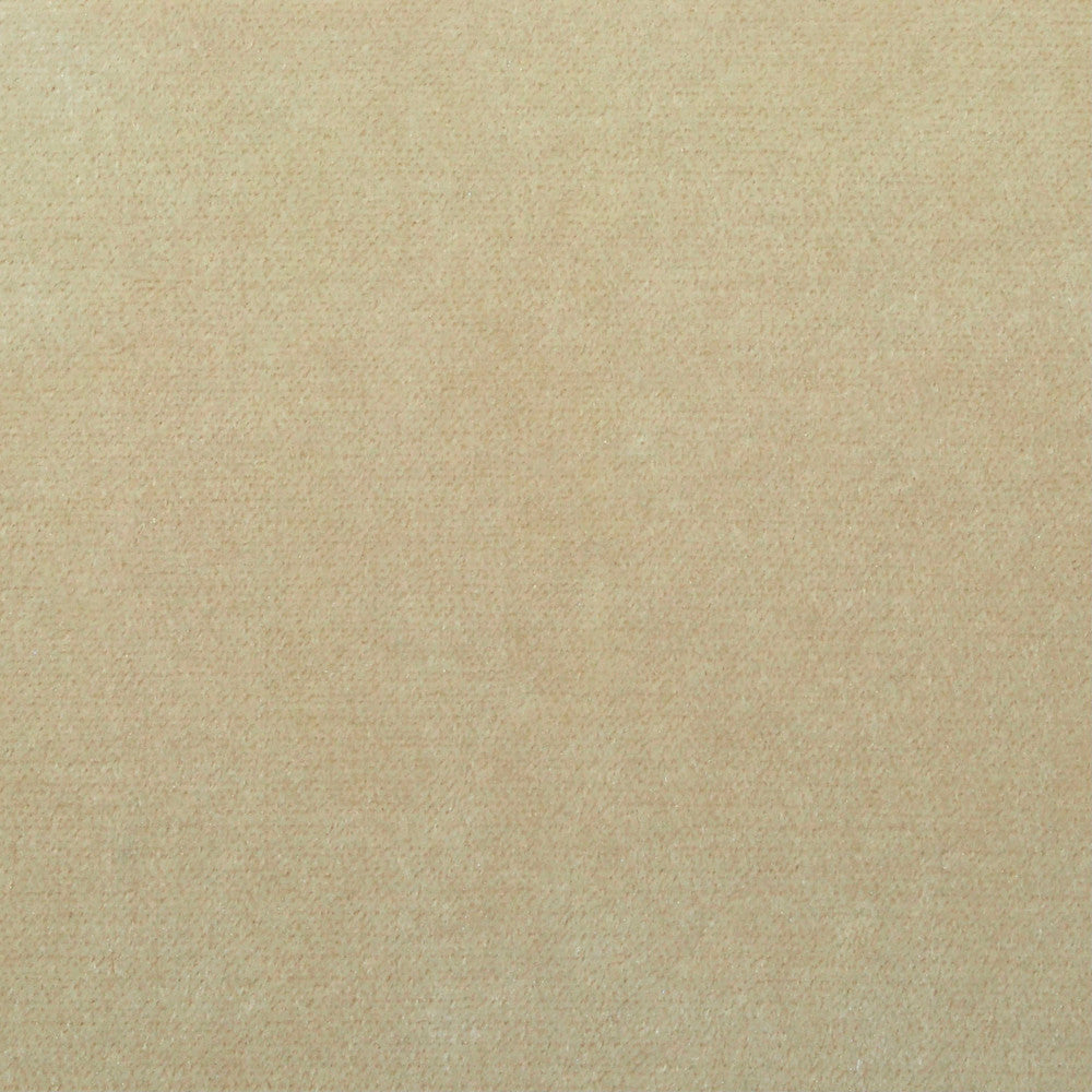 Obsession Champagne Nc18 207 by P Kaufmann Fabrics Fabric