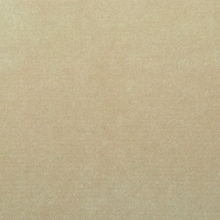 Obsession Champagne Nc18 207 by P Kaufmann Fabrics Fabric