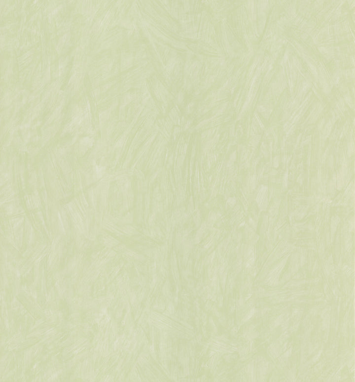 Painterly Sage Textural Wallpaper by Lucky Day Super Value Program Covers about 56.4 square feet 20.5-in by 33-ft long roll Prepasted 21 - Fabric Carolina -