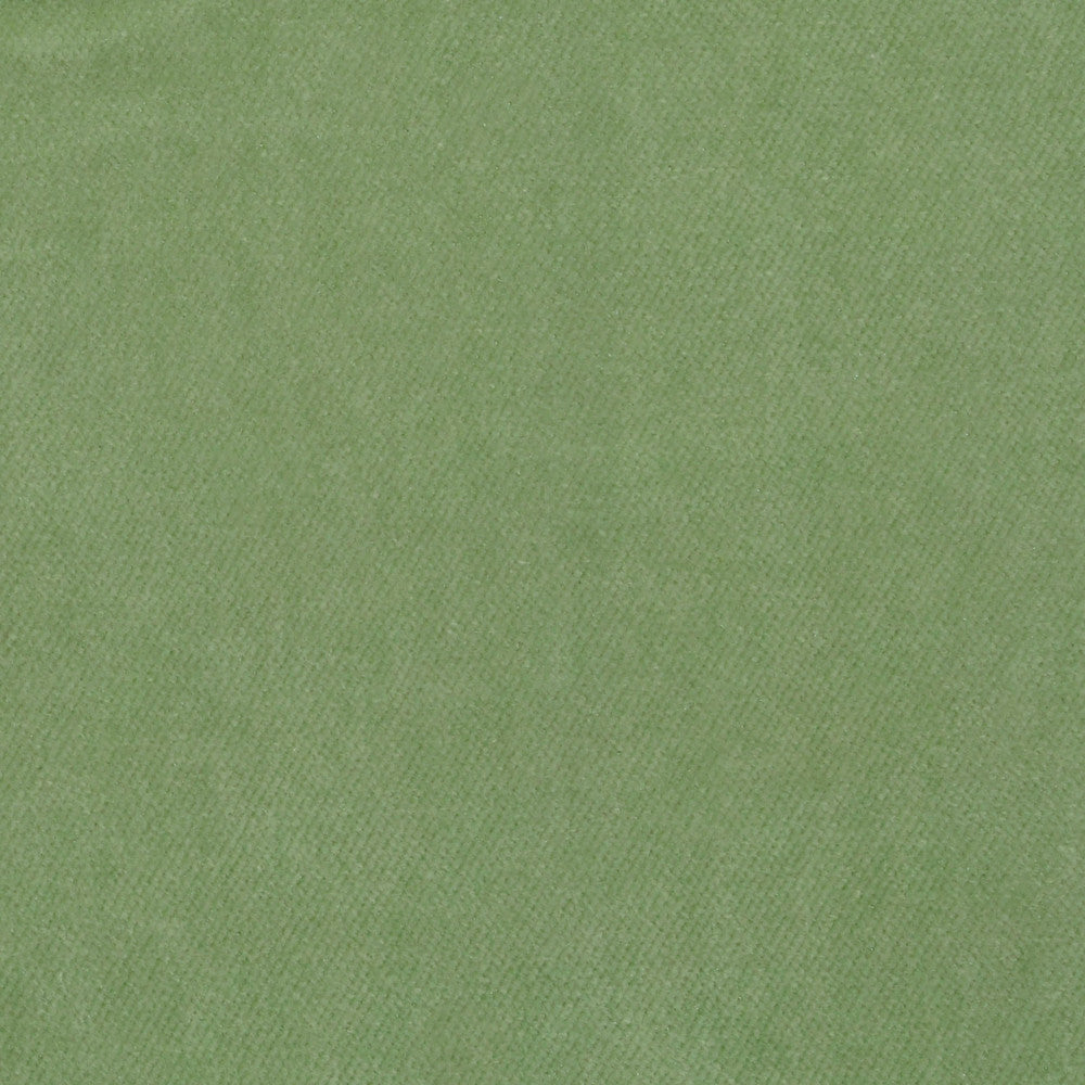 Obsession Sprout Nc18 312 by P Kaufmann Fabrics Fabric