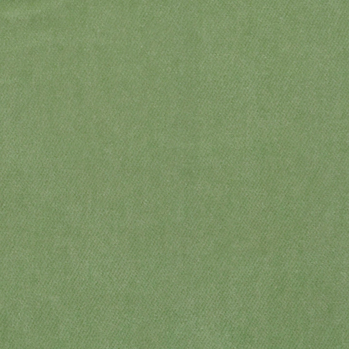 Obsession Sprout Nc18 312 by P Kaufmann Fabrics Fabric
