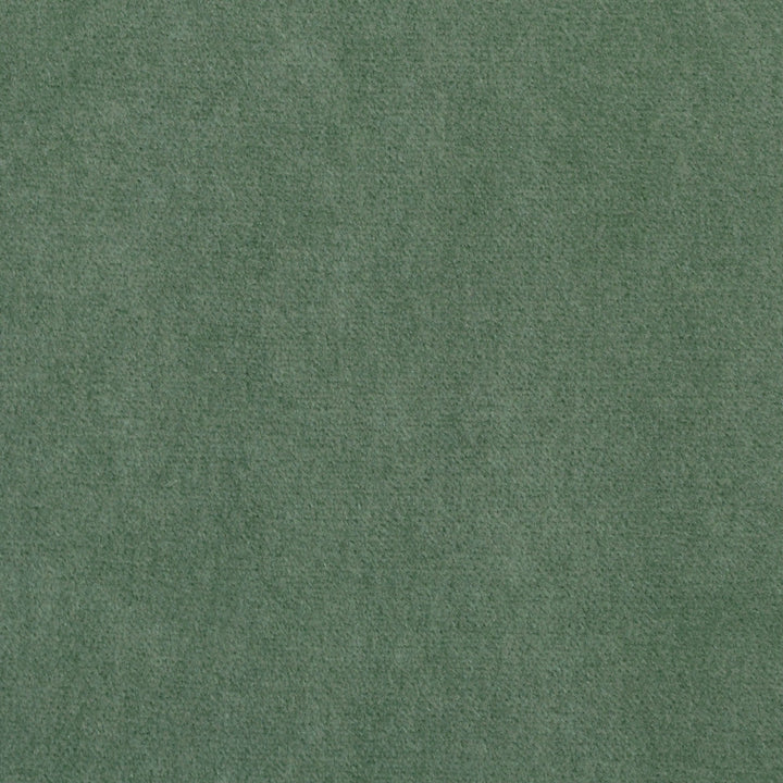 Obsession Balsam Nc18 365 by P Kaufmann Fabrics Fabric