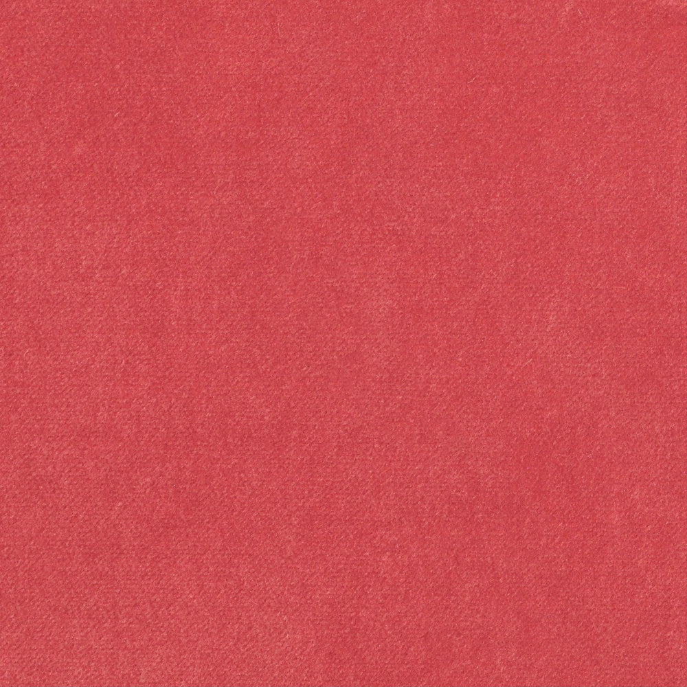 Obsession Papaya Nc18 635 by P Kaufmann Fabrics Fabric