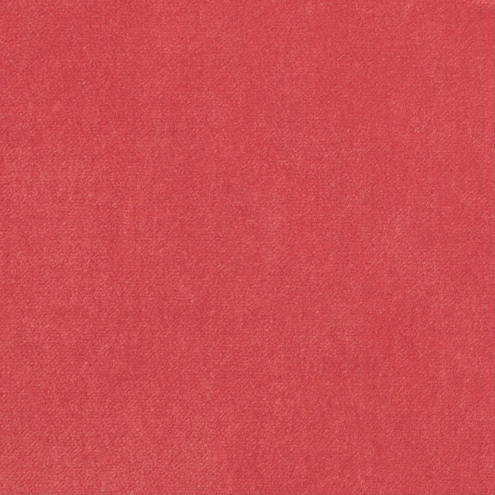 Obsession Papaya Nc18 635 by P Kaufmann Fabrics Fabric