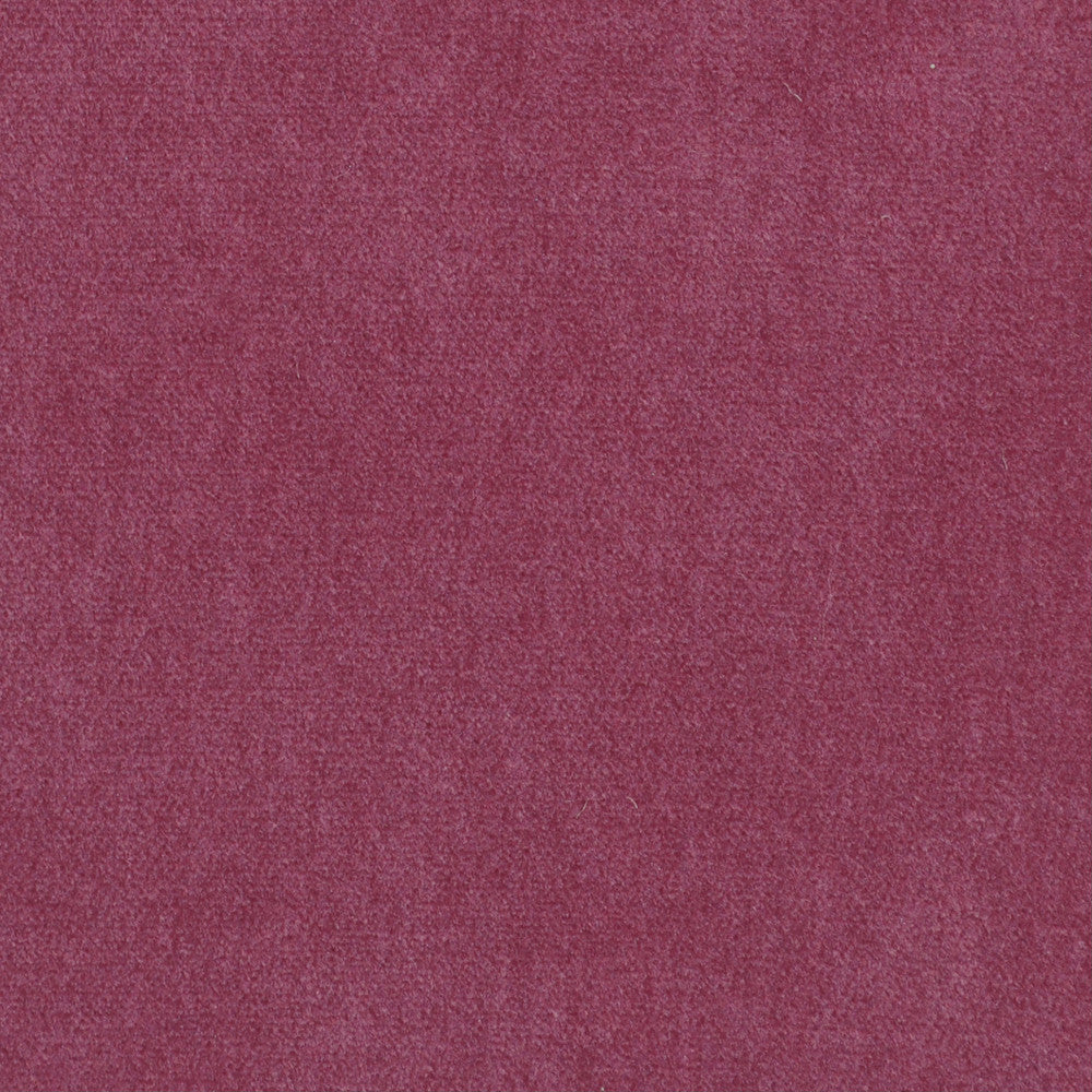 Obsession Berry Nc18 727 by P Kaufmann Fabrics Fabric