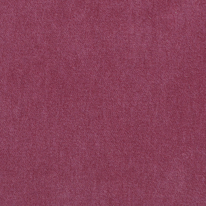 Obsession Berry Nc18 727 by P Kaufmann Fabrics Fabric