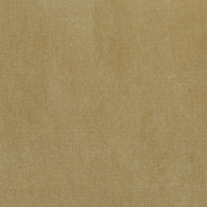 Obsession Antique Gold Rb18 157 by P Kaufmann Fabrics Fabric
