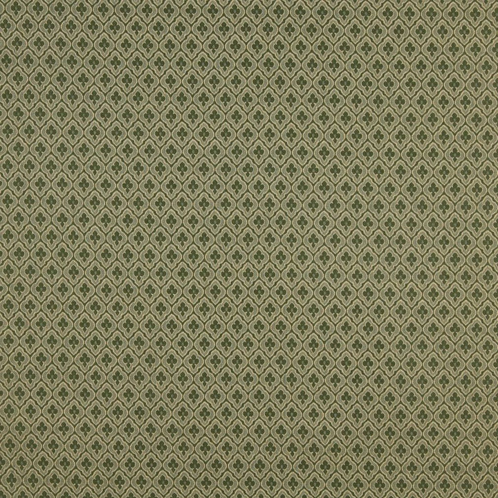 1466 Cactus by Charlotte Fabric Ring Book Page #114 57% Cotton, 43% Polyester Made In USA Exceeds 70,000 Wyzenbeek Rubs (Heavy Duty) Horizontal: 1" x Vertical: 1.5" 54 Inches - Fabric Carolina -