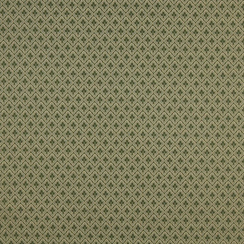 1466 Cactus by Charlotte Fabric Ring Book Page #114 57% Cotton, 43% Polyester Made In USA Exceeds 70,000 Wyzenbeek Rubs (Heavy Duty) Horizontal: 1" x Vertical: 1.5" 54 Inches - Fabric Carolina -