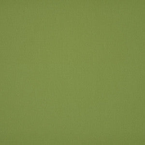 7244 Amande (Avocado) by Sunbrella Fabric