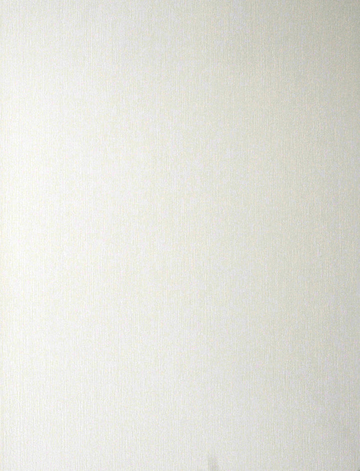 Gael Paintable Stucco Paintable Wallpaper by Brewster Paintable Solutions III Covers about 56.4 square feet 20.5-in by 33-ft long roll Prepasted 0 - Fabric Carolina -