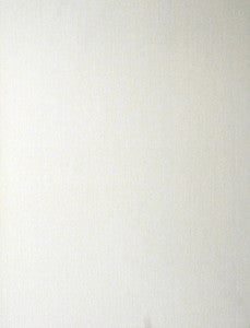 Gael Paintable Stucco Paintable Wallpaper by Brewster