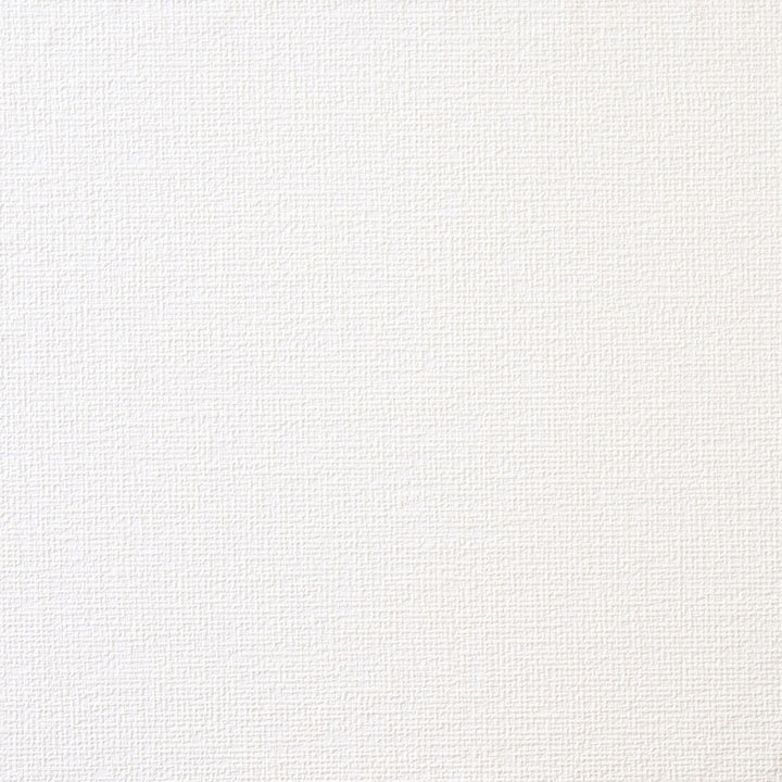 Tapestry Paintable Paintable Wallpaper by Brewster Paintable Solutions III Covers about 56.4 square feet 20.5-in by 33-ft long roll Prepasted 25 - Fabric Carolina -
