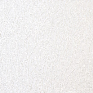 Saatchi Paintable Paintable Wallpaper by Brewster