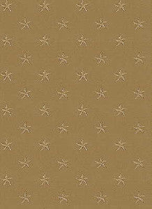 14856-4 by Kravet Design Fabric
