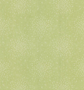 Petal Light Green Modern Floral Wallpaper by Brewster
