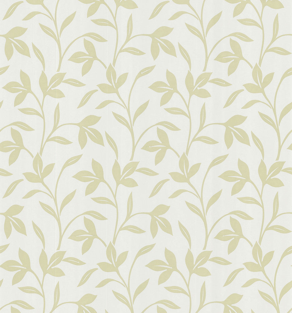 Flora Beige Trailing Leaves Wallpaper by Brewster Bath Bath Bath Vol III Covers about 56.4 square feet 20.5-in by 33-ft long roll Prepasted 12.5 - Fabric Carolina -