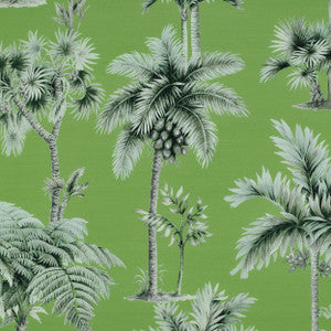 Palmaverde Kiwi 3 by P Kaufmann Fabrics Fabric