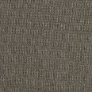 1505 Charcoal by Charlotte Fabric