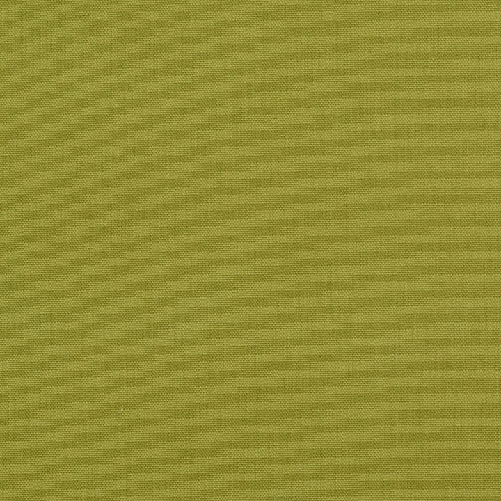 1509 Spring by Charlotte Fabric Cotton Duck, Forever Classics 100% Cotton, 12oz. Preshrunk Cotton Duck Made In USA Exceeds 60,000 Wyzenbeek Rubs (Heavy Duty) No Repeat 54 Inches - Fabric Carolina -