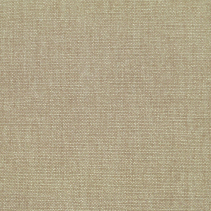 Perf Beck D Champgane 207 by P Kaufmann Fabrics Fabric