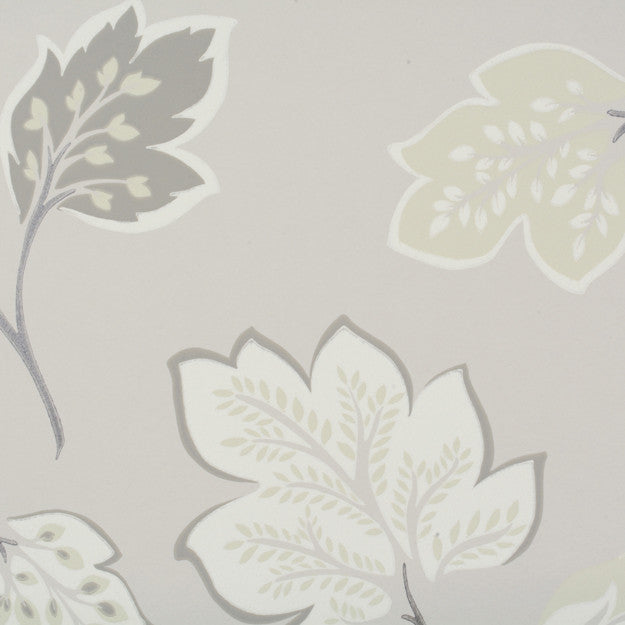 1541 96W6681 by JF Wallpaper SONGBIRD WALLCOVERINGS 100% Wallpaper UNITED KINGDOM (see sample) Horizontal: N/A and Vertical: 20.800 20.50 - Fabric Carolina -