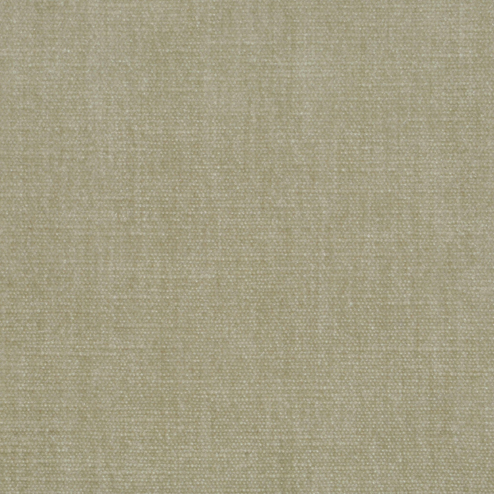 Perf Beck D Smoke 907 by P Kaufmann Fabrics Fabric