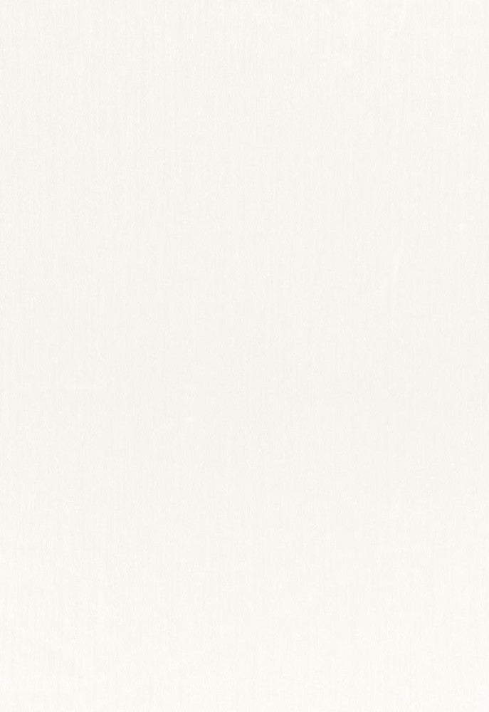 Blaine Natural 1564010 by Schumacher Fabric Radiance-Sheers 100% Polyester - Horizontal: - and Vertical: - 118 - Fabric Carolina -