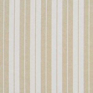 1578 Khaki Stripe by Charlotte Fabric