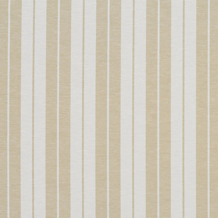 1578 Khaki Stripe by Charlotte Fabric Forever Classics 57% Cotton, 43% Polyester India Exceeds 100,000 Wyzenbeek Rubs (Heavy Duty) Horizontal: 2.75" 54 Inches - Fabric Carolina -