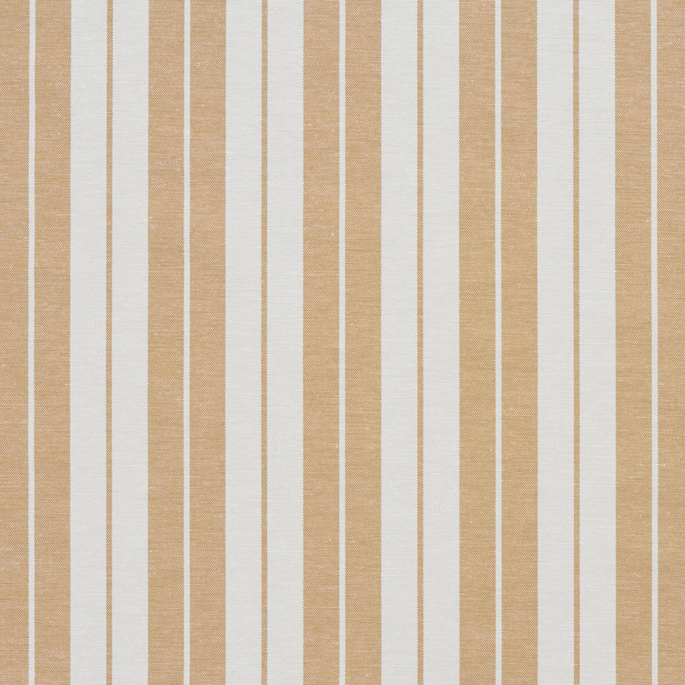 1582 Camel Stripe by Charlotte Fabric Forever Classics 57% Cotton, 43% Polyester India Exceeds 100,000 Wyzenbeek Rubs (Heavy Duty) Horizontal: 2.75" 54 Inches - Fabric Carolina -
