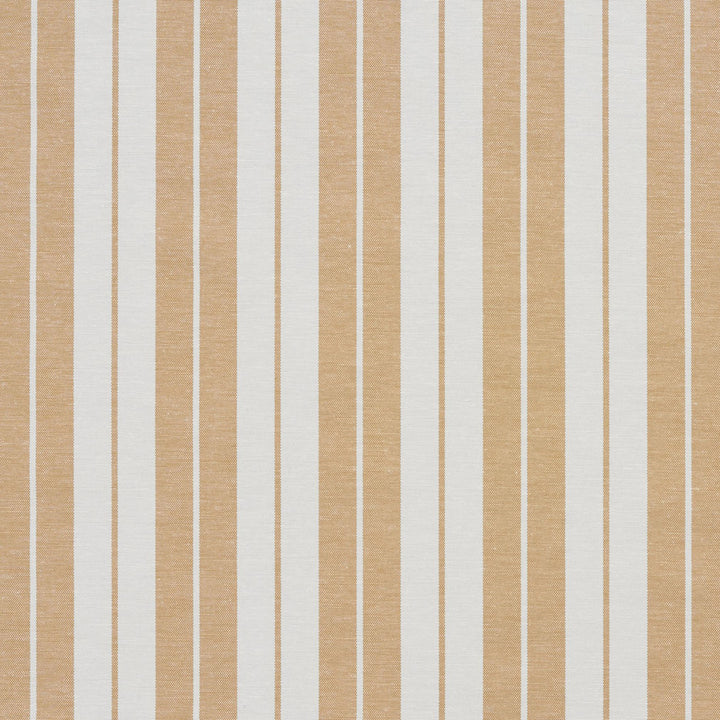 1582 Camel Stripe by Charlotte Fabric Forever Classics 57% Cotton, 43% Polyester India Exceeds 100,000 Wyzenbeek Rubs (Heavy Duty) Horizontal: 2.75" 54 Inches - Fabric Carolina -