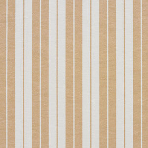 1582 Camel Stripe by Charlotte Fabric