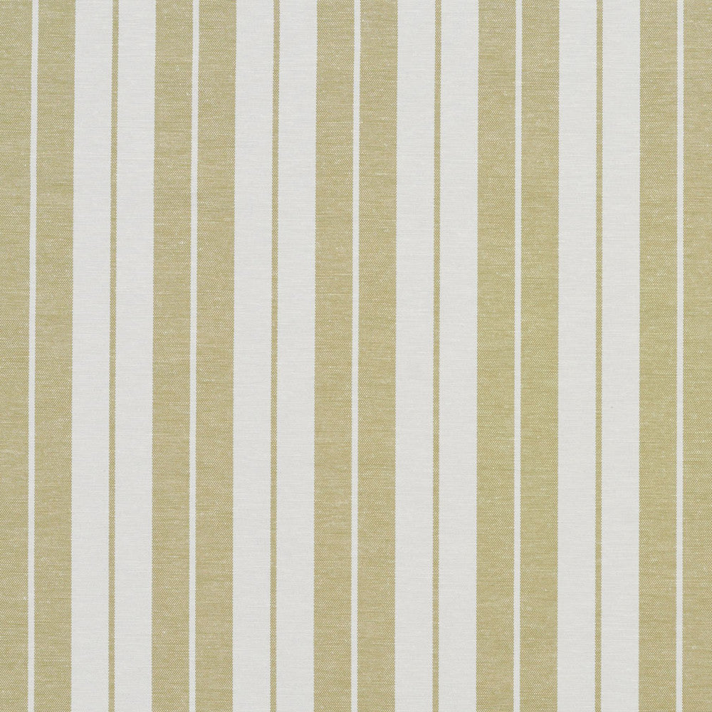 1585 Meadow Stripe by Charlotte Fabric Forever Classics 57% Cotton, 43% Polyester India Exceeds 100,000 Wyzenbeek Rubs (Heavy Duty) Horizontal: 2.75" 54 Inches - Fabric Carolina -